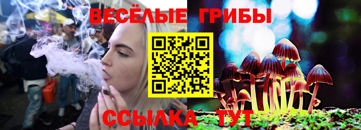 Псилоцибиновые грибы прущие грибы  Галлюциногенные грибы MAGIC MUSHROOMS  Вход с VPN  Карталы 
