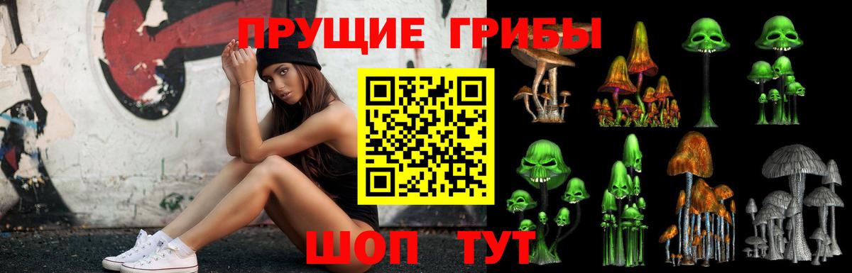 Галлюциногенные грибы Magic Shrooms Карталы